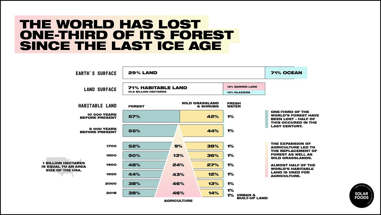 The world has lost one-third of its forest, but an end of