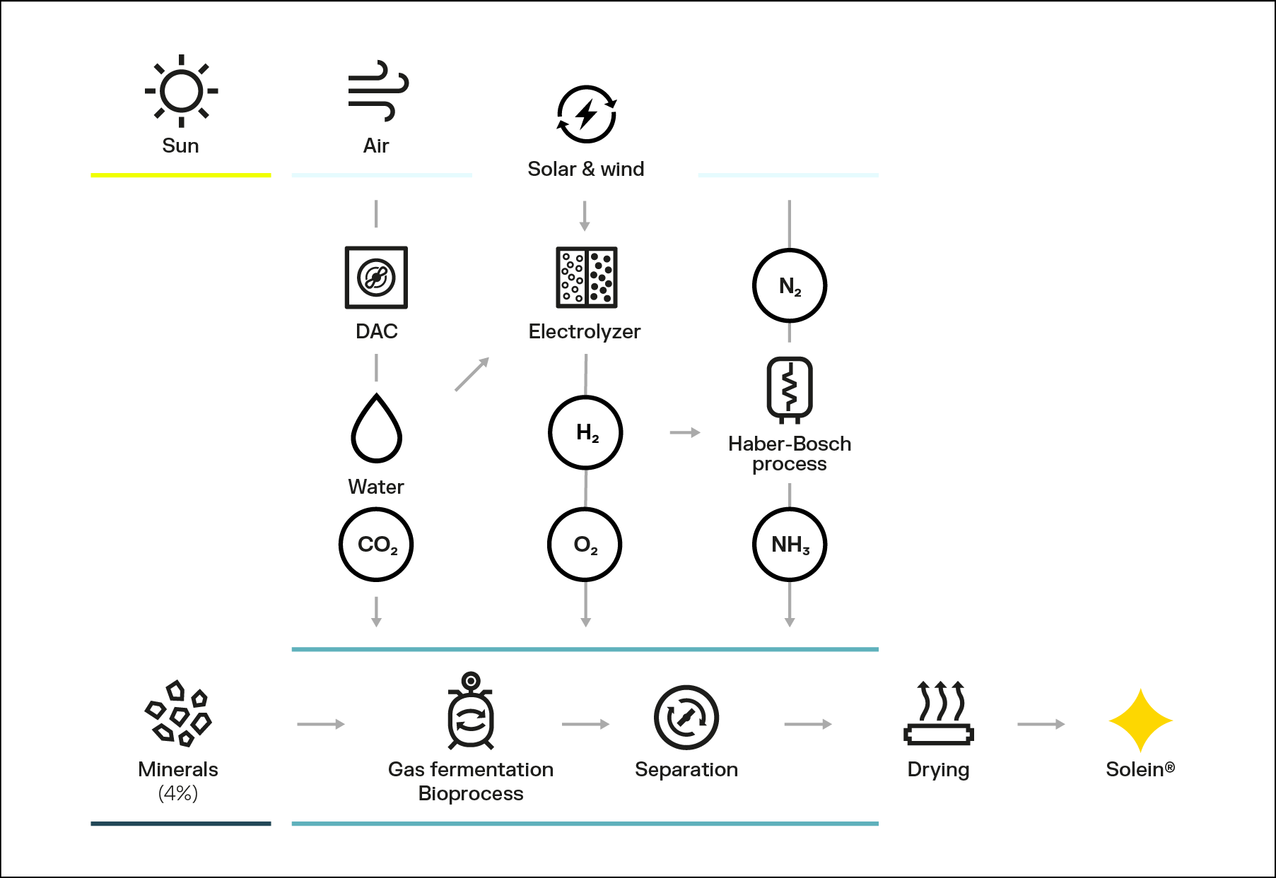 Flowchart describing the bioprocess creating Solein