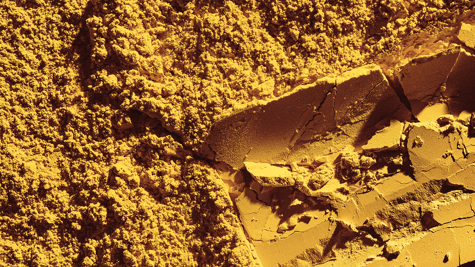 The picture shows yellow Solein powder.